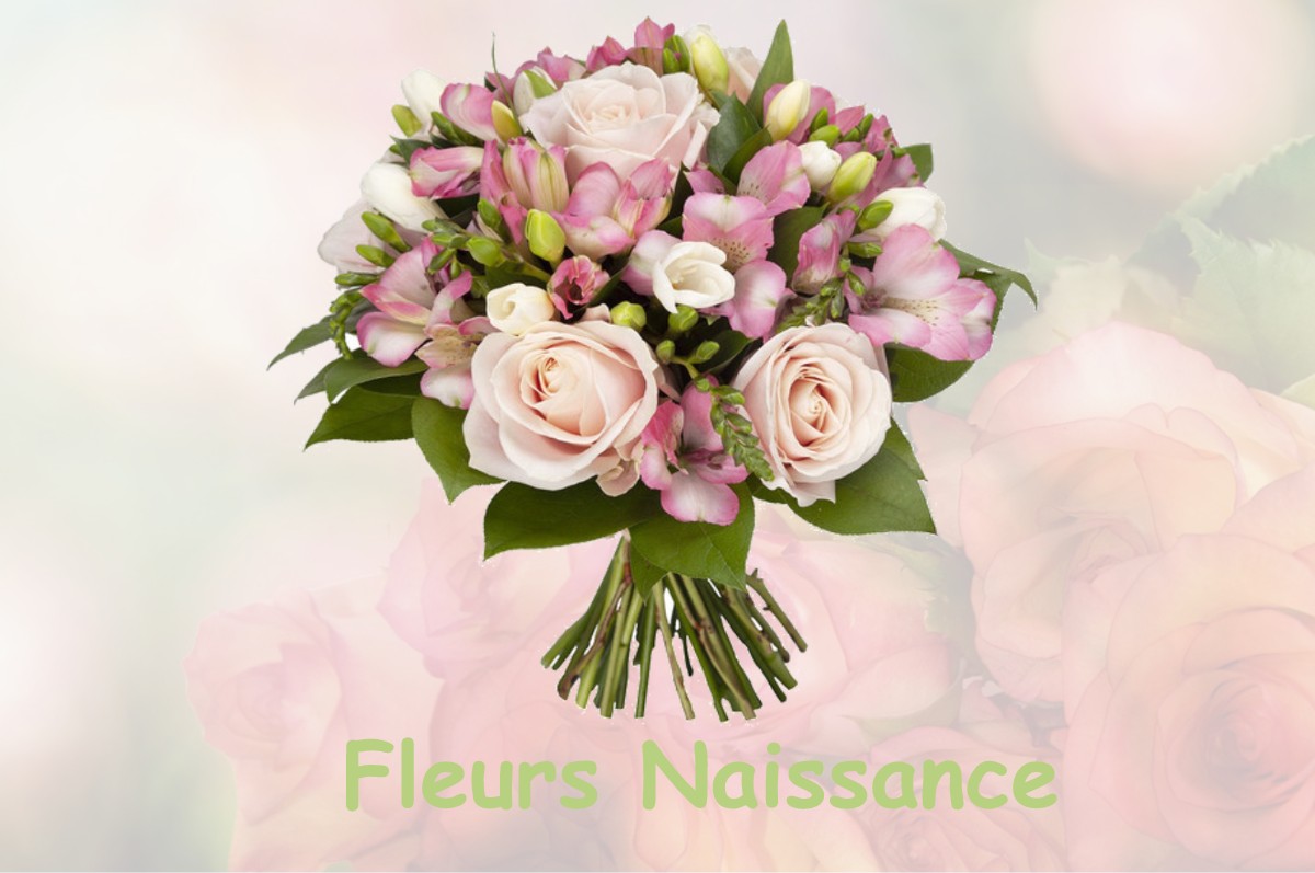 fleurs naissance FLERS-SUR-NOYE